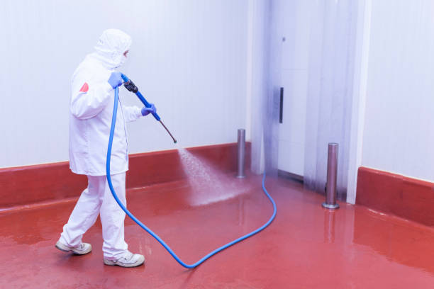 Pre-Holiday Cleaning in The Pinehills, MA